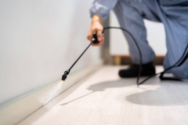 Licensed Pest Control service in Freeburg, IL - Show Me Pest Control